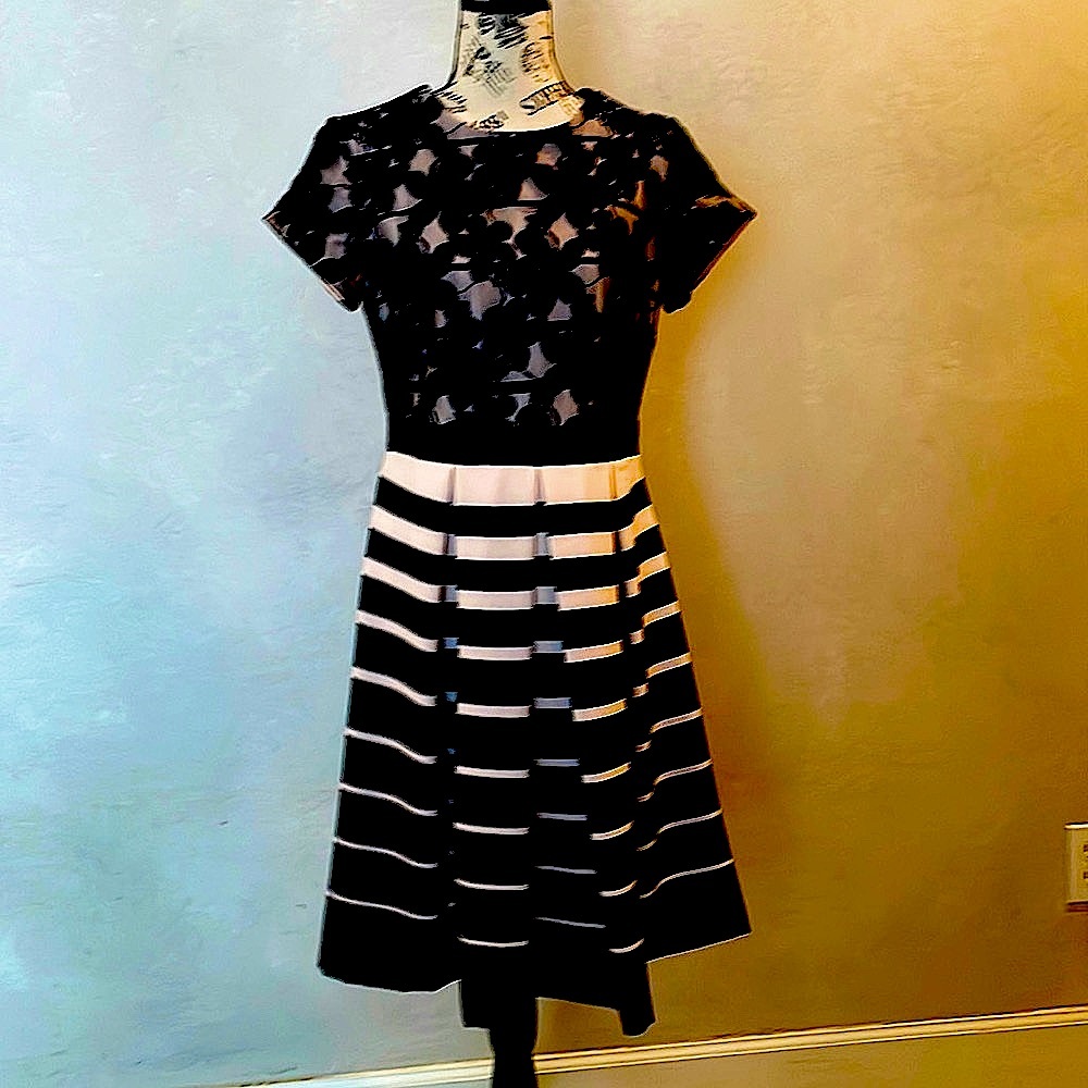 Light Pink & Black Dress